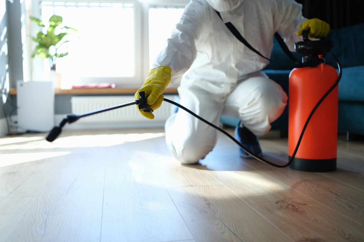 Your Complete Guide to Pest Control in Albury